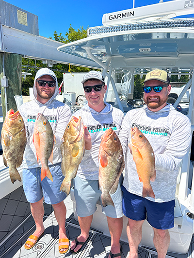 James C. Hazlett, DDS | Digital Radiography, Ceramic Crowns and Isolite trade